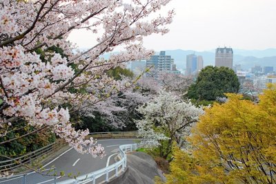🌳 히지야마 공원 (히지야마코엔)